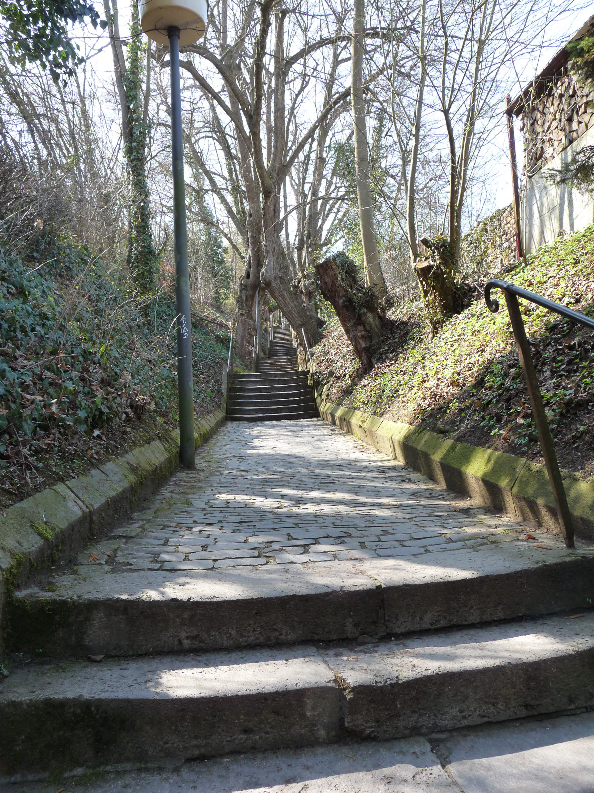 20190330131052 P1120318